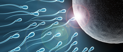 IVF-1.jpg IVF-1.jpg