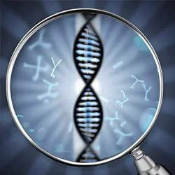 Поговорим о генетике Поговорим о генетике